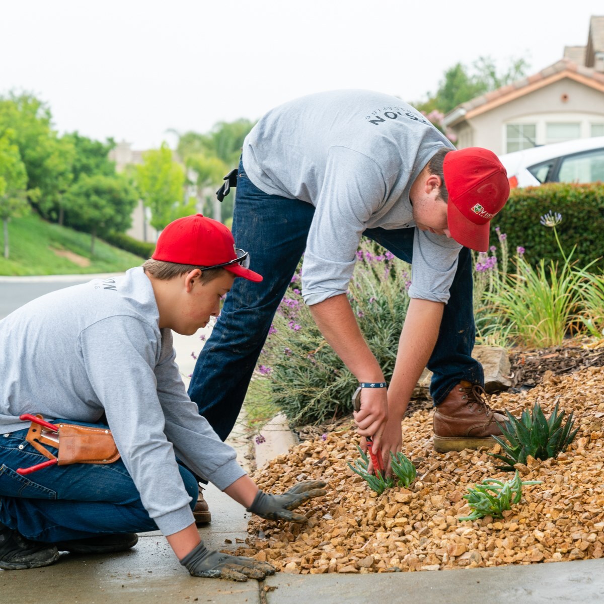 Vision Landscaping 5