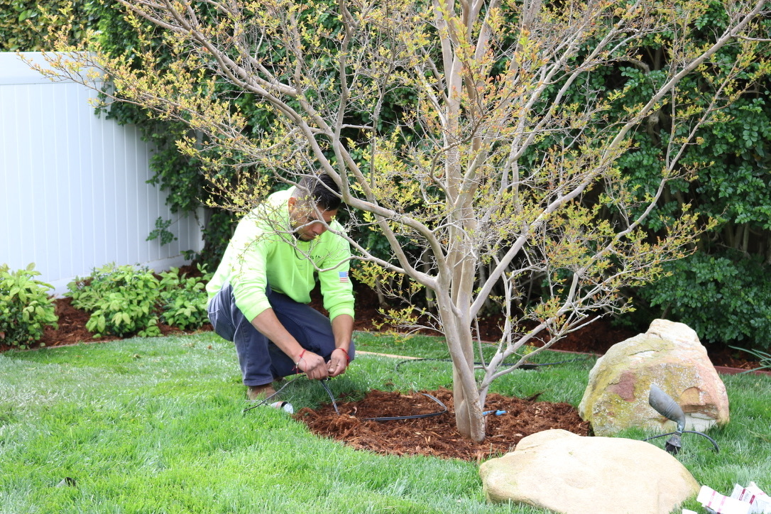Smart Irrigation & Drought-Tolerant Landscaping in Simi Valley Vision Landscaping technician installing smart irrigation system in drought-tolerant landscape design for a Simi Valley property